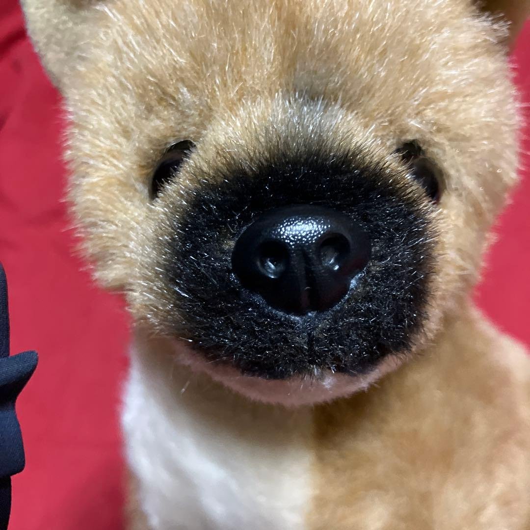 ぬいぐるみ犬　しば犬　柴犬　子犬　リアルぬいぐるみ犬　四季オリジナル　SK